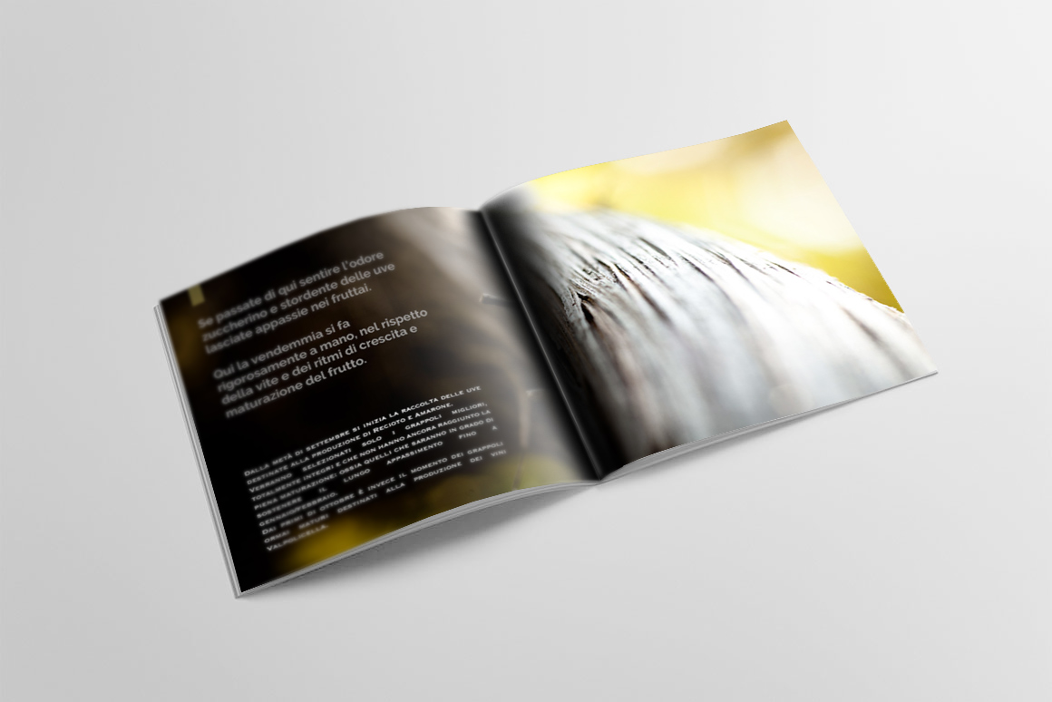 brochure_render_interno-2